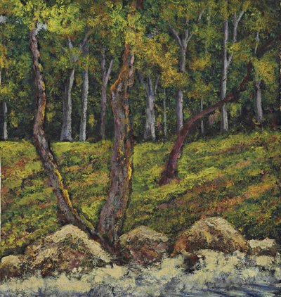 The Forest by Joaquín Clausell